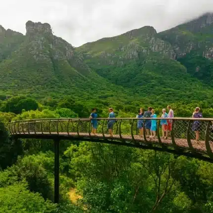 Kirstenbosch National Botanical Garden Tour